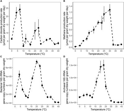 Impact of Warming on Greenhouse Gas Production and Microbial Diversity in Anoxic Peat From a Sphagnum-Dominated Bog (Grand Rapids, Minnesota, United States)